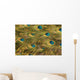 Peacock's Feather Wall Mural