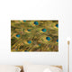 Peacock's Feather Wall Mural