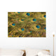 Peacock's Feather Wall Mural