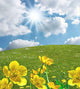 Landscape Countryside Meadows Marsh Wall Decal