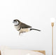 Double-barred Finch - Taeniopygia bichenovii Wall Decal