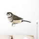 Double-barred Finch - Taeniopygia bichenovii Wall Decal