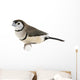 Double-barred Finch - Taeniopygia bichenovii Wall Decal