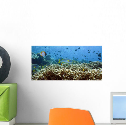 Coral Reefs Wall Decal Design 4