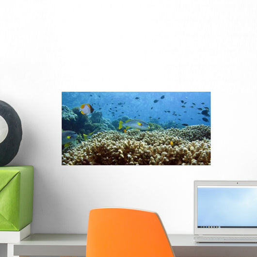 Coral Reefs Wall Decal Design 4