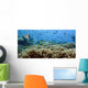 Coral Reefs Wall Decal Design 4