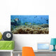 Coral Reefs Wall Decal Design 4