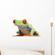 Red-eyed Tree Frog - Agalychnis callidryas Wall Decal