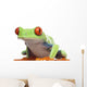 Red-eyed Tree Frog - Agalychnis callidryas Wall Decal