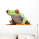 Red-eyed Tree Frog - Agalychnis callidryas Wall Decal