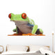 Red-eyed Tree Frog - Agalychnis callidryas Wall Decal