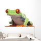 Red-eyed Tree Frog - Agalychnis callidryas Wall Decal