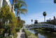 Venice Beach Los Angeles Wall Decal