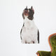 American Staffordshire Terrier Wall Decal