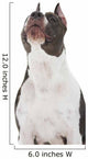 American Staffordshire Terrier Wall Decal