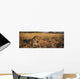 Leopard Panthera Pardus Wall Decal