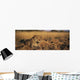 Leopard Panthera Pardus Wall Decal
