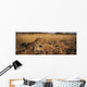 Leopard Panthera Pardus Wall Decal