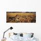 Leopard Panthera Pardus Wall Decal