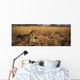 Leopard Panthera Pardus Wall Decal