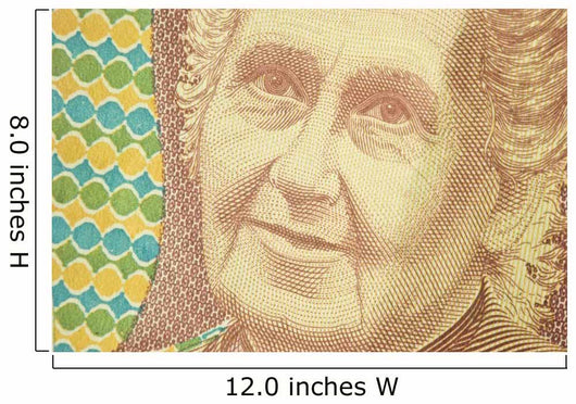Mille lire Montessori Wall Mural