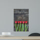 tidy tulips on a old wood background Wall Mural