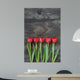 tidy tulips on a old wood background Wall Mural