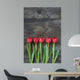 tidy tulips on a old wood background Wall Mural
