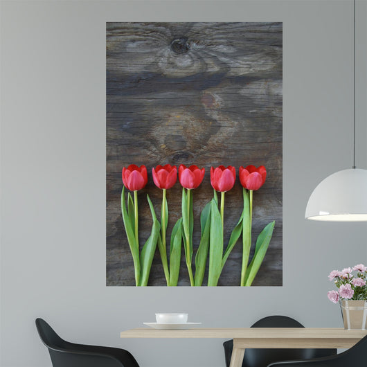 tidy tulips on a old wood background Wall Mural