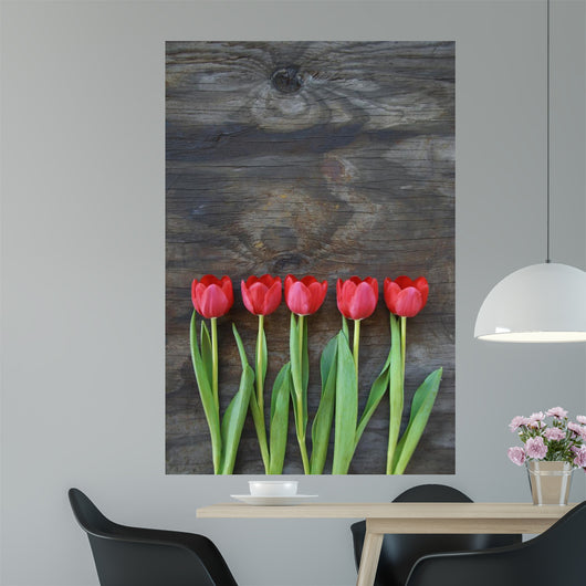 tidy tulips on a old wood background Wall Mural