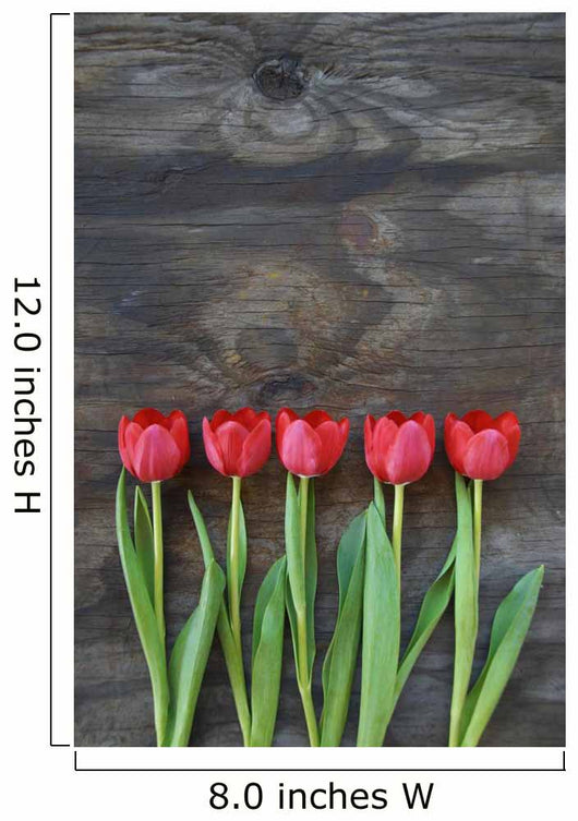tidy tulips on a old wood background Wall Mural