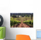 Summer Vineyard Wall Decal