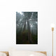 Pacific Northwest Rainforest Wall Decal Design 1