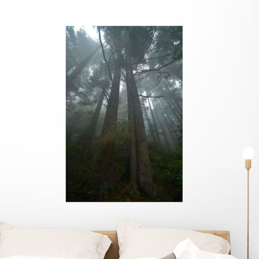 Pacific Northwest Rainforest Wall Decal Design 1