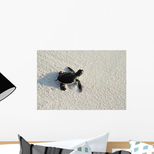 turtle Wall Mural