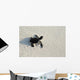 turtle Wall Mural