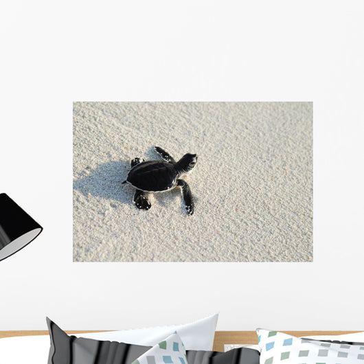 turtle Wall Mural