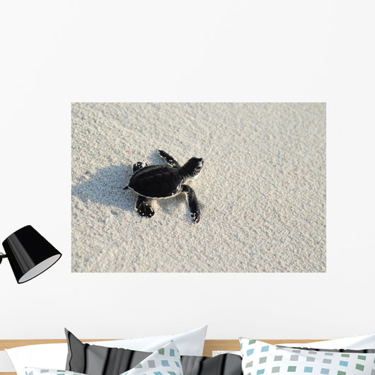 turtle Wall Mural