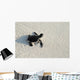 turtle Wall Mural