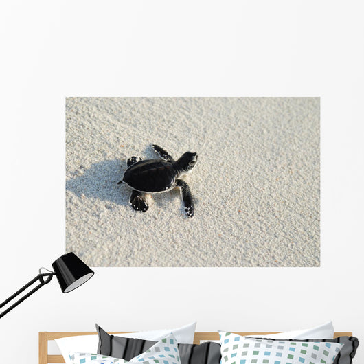 turtle Wall Mural