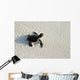 turtle Wall Mural