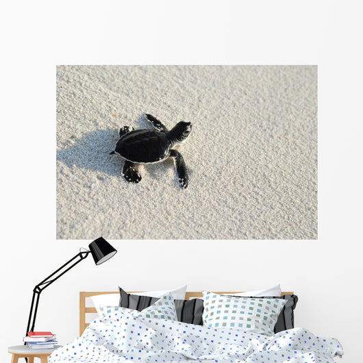 turtle Wall Mural