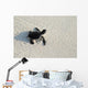 turtle Wall Mural