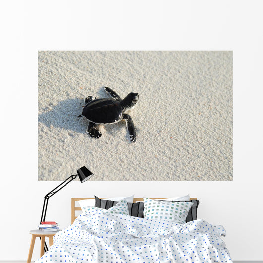 turtle Wall Mural