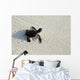 turtle Wall Mural