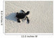 turtle Wall Mural