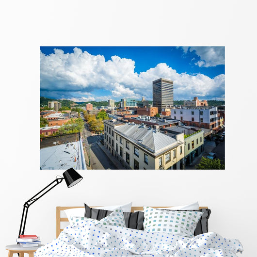 Buildings Downtown Asheville North Wall Decal