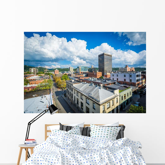 Buildings Downtown Asheville North Wall Decal