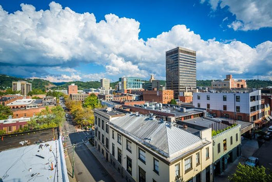 Buildings Downtown Asheville North Wall Decal