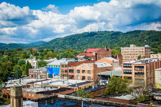 Buildings Downtown and Town Wall Decal